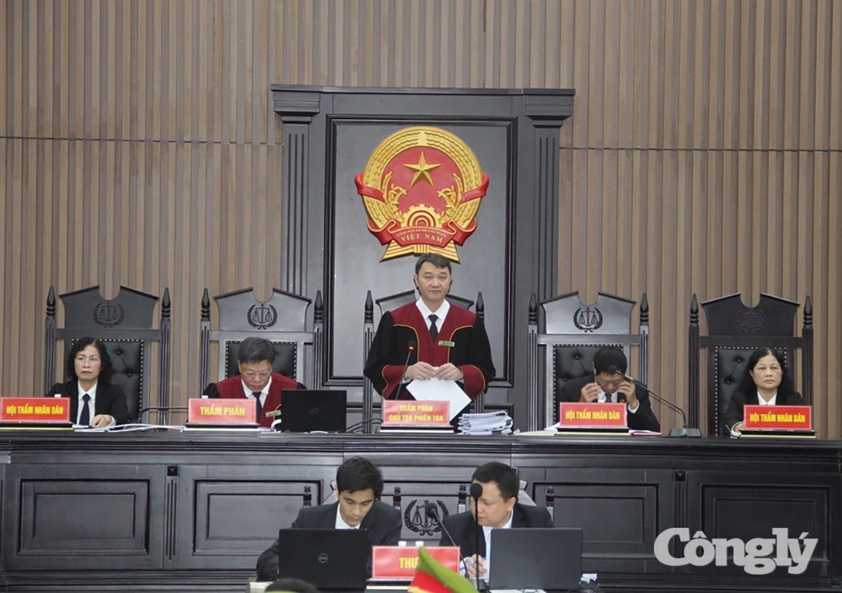 Luật sư tranh tụng TPHCM