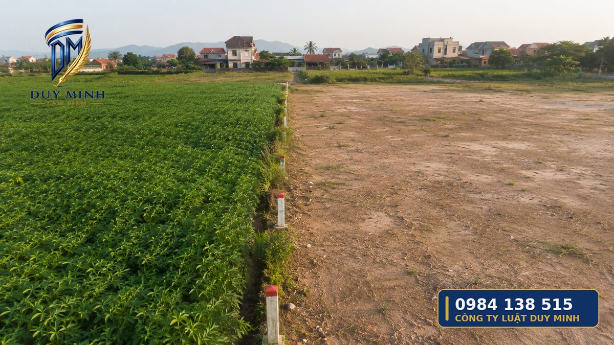 chuyển đổi đất trồng cây lâu năm sang đất ở